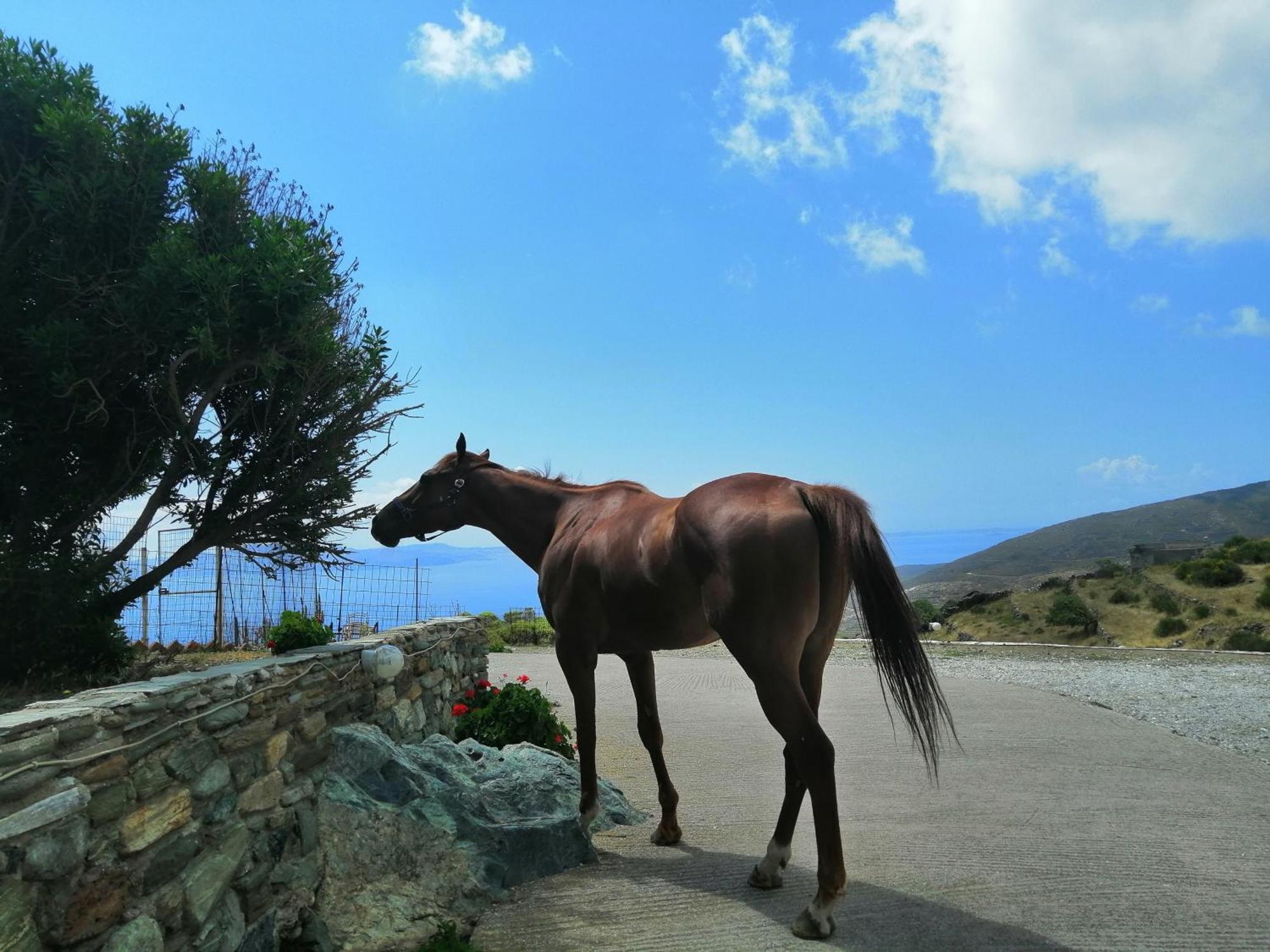 Stení Balcony To The Aegeanヴィラ エクステリア 写真